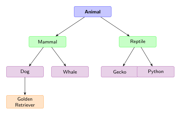Natural Language Concept Hierarchy Encoded as Geometric Feature Directions